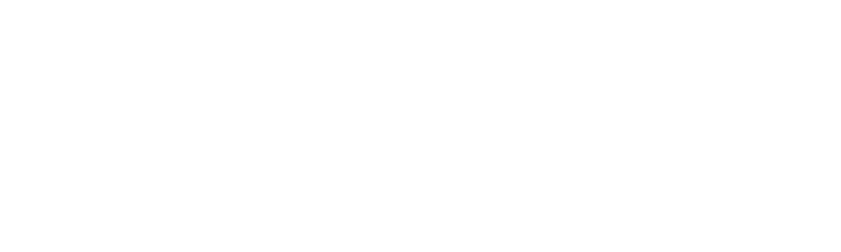 Empresa Especializada em WordPress